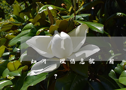 如何處理信息被盜用辦理信用卡并逾期的情況？